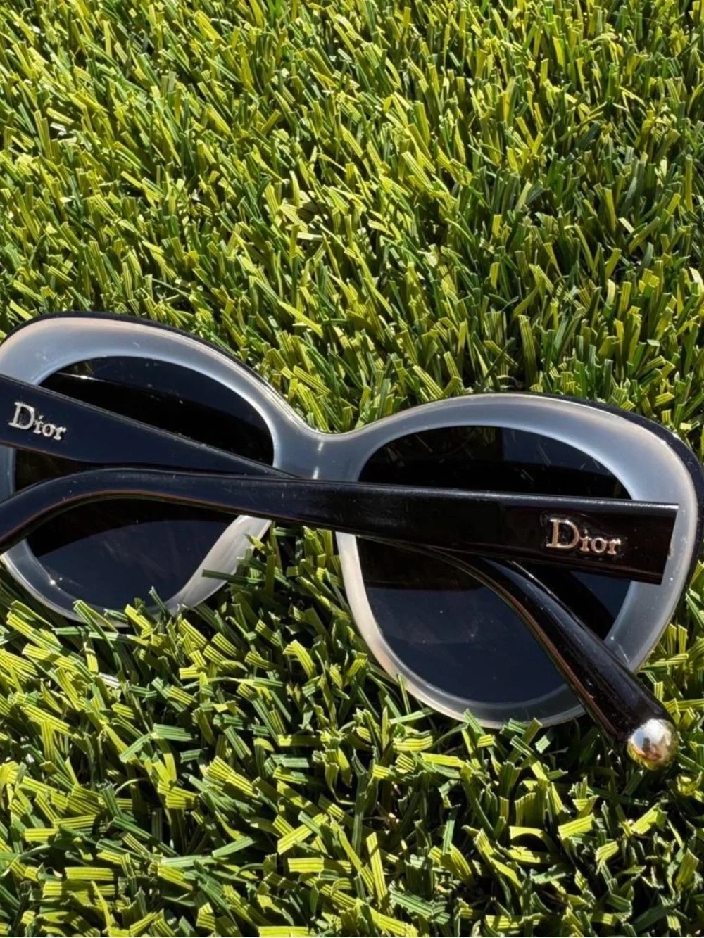 Dior chic cat
